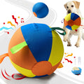 Indestructible Chew Ball for Dogs, Portable Floating Fetch Toy, Aggressive Chew Puppy Toy for Water & Outdoor Play