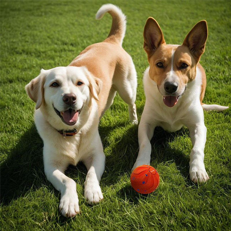 Interactive Dog Toy Ball: E-TPU Material, Random Bounce & Spin Smart Motion Ball, Self-Play Chew-Proof Pet Toy