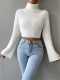 Fall Winter Women's Sweater High Neck Short Length Long Sleeve Solid Color Knit Crop Top