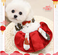 Clothes for Small and Medium-Sized Dogs (Two & Four Legs)