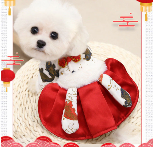 Clothes for Small and Medium-Sized Dogs (Two & Four Legs)